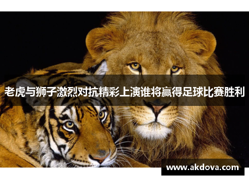 老虎与狮子激烈对抗精彩上演谁将赢得足球比赛胜利